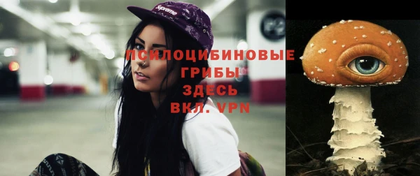 a pvp Богородицк