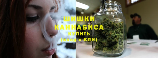 первитин Богданович