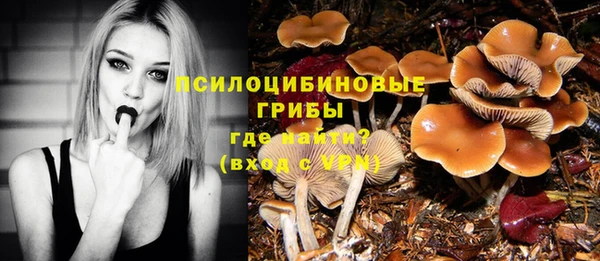 a pvp Богородицк