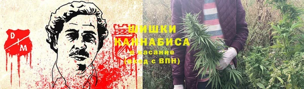 ECSTASY Богородск