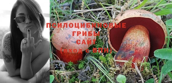 ECSTASY Богородск