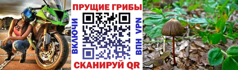 Галлюциногенные грибы мицелий  наркота  Верхняя Тура 